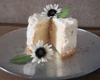 材料は定番ビスケットとヨーグルトのみ。おうち時間が楽しくなる簡単ケーキ