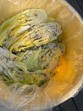 今が旬の「白菜の塩漬け」レシピ。ジップロックでも手軽につくれる