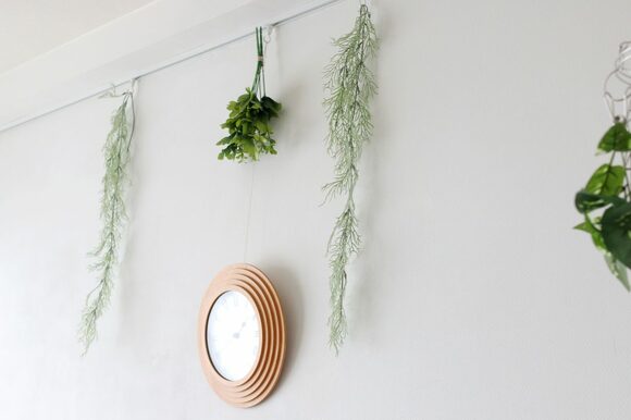 ピクチャーレールやフックで壁掛けグリーン