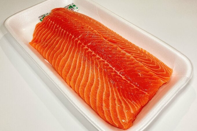 salmon