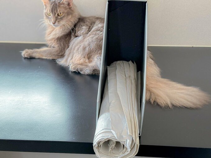 ファイルボックス収納