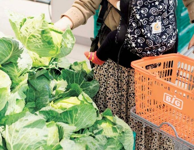 キャベツ売り場