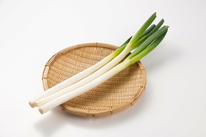 長ネギ