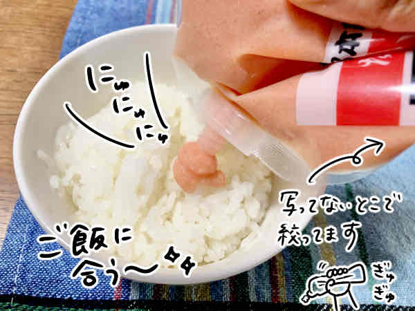 ご飯に