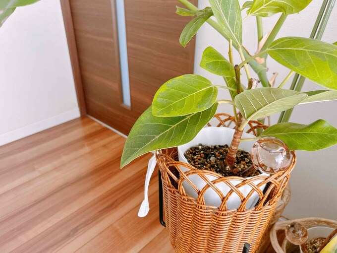 水の量が一目瞭然！