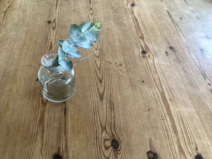 花瓶に水なしで挿しているユーカリ