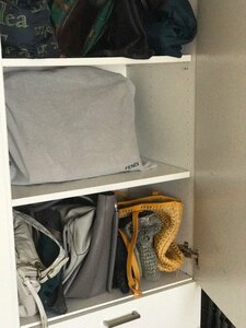 ブランドバッグをレンタルし放題