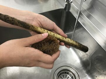 ゴボウの皮むきもあっという間！野菜の泥落としがタワシで便利に