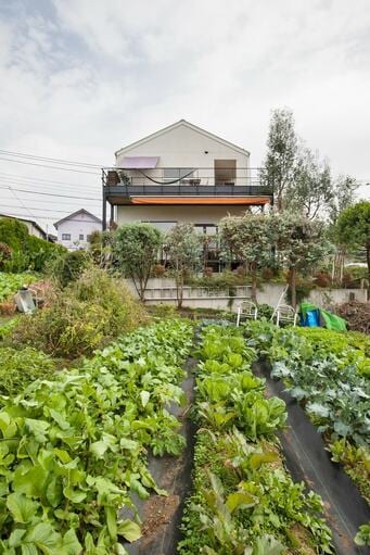 絶景を味わい尽くすレストラン兼住居