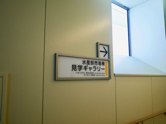 築地で営業していた店舗だけでなく、新しくできるお店もあるんだとか