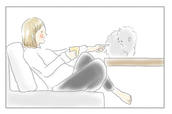 ネコに触る女性