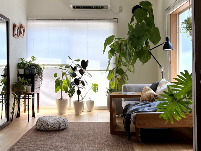 ひとり暮らしの部屋