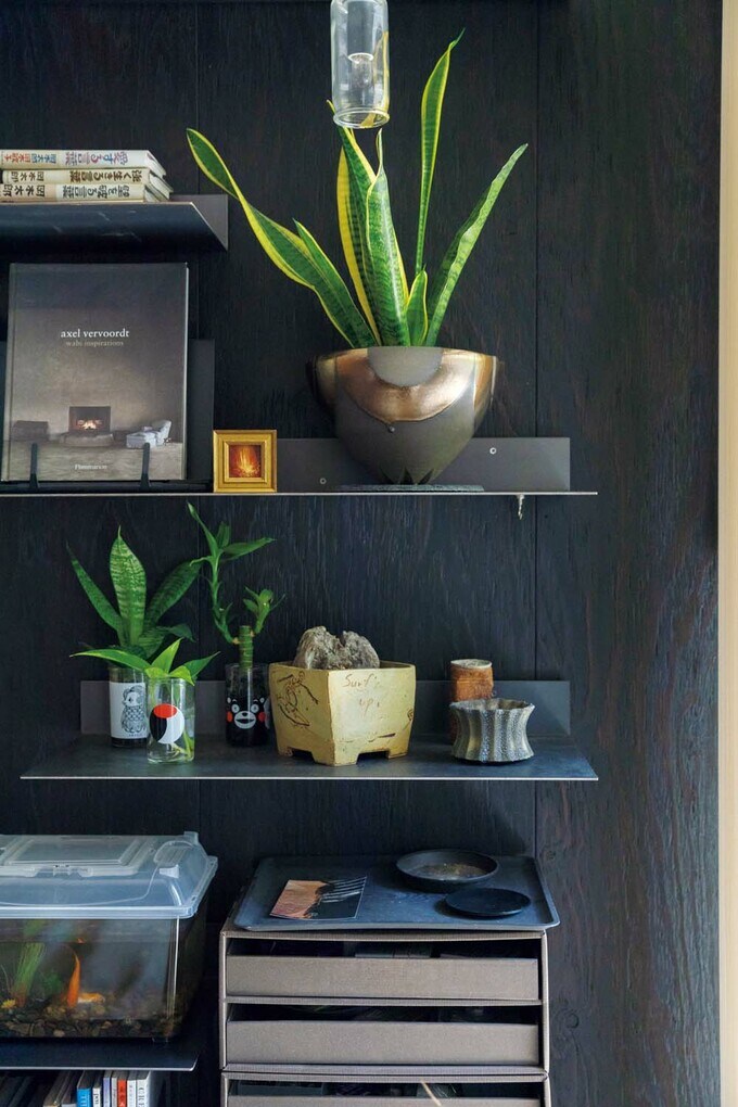  グリーンや蔵書