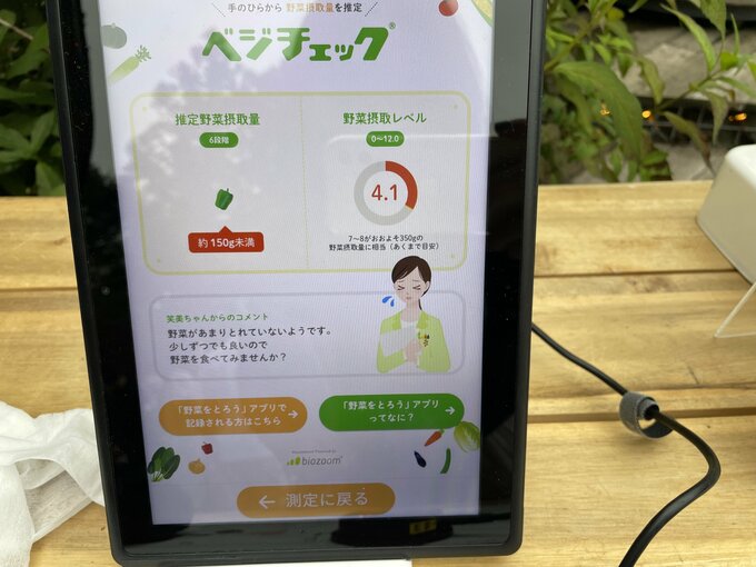 ベジチェック結果