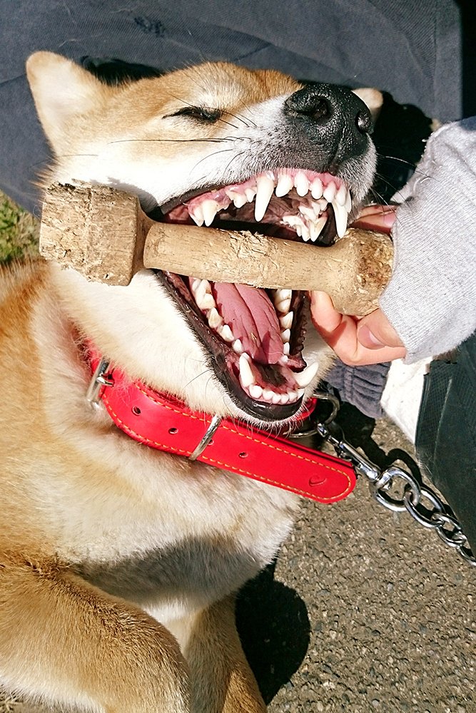 いろんな表情を引き出してくれてありがとう