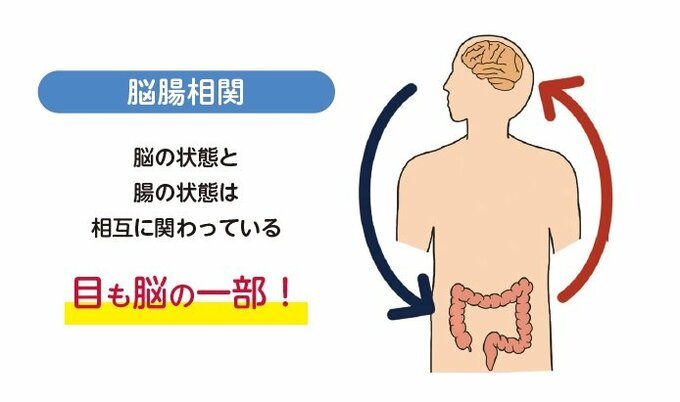 脳腸相関