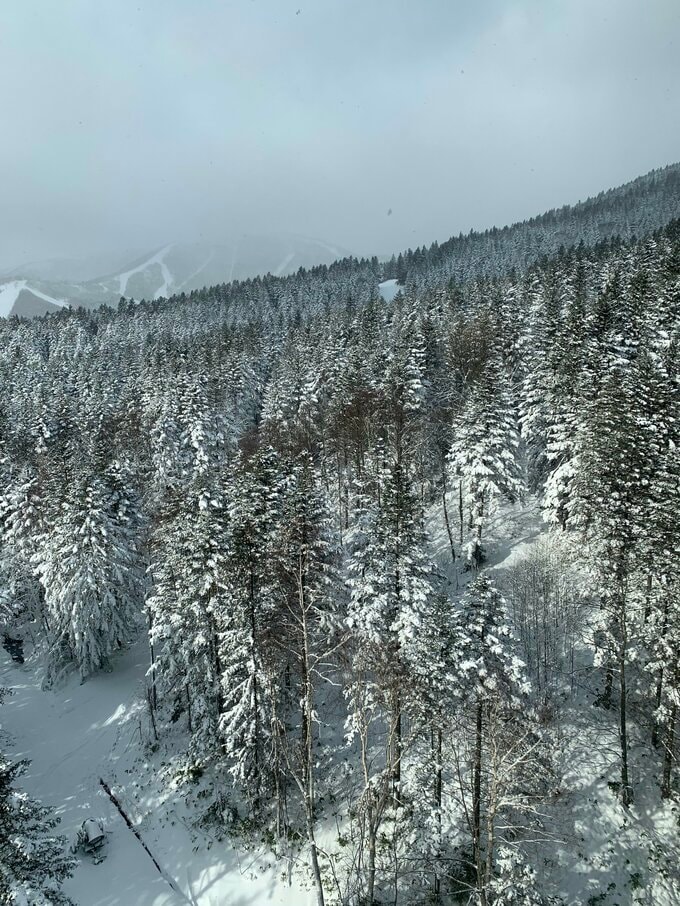 ゴンドラからの風景