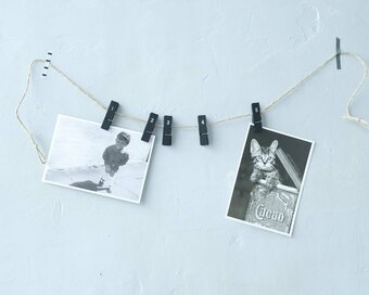 Seriaのモノトーンアイテム。雑貨に文具、キッチングッズが“大人カワイイ”すぎる！