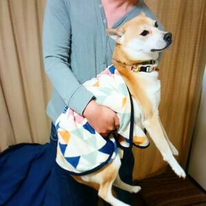 「やめてよ」顔のふうちゃん