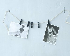 殺風景な壁もおしゃれに