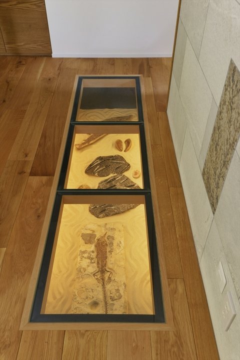 床に埋め込まれた化石コレクション展示