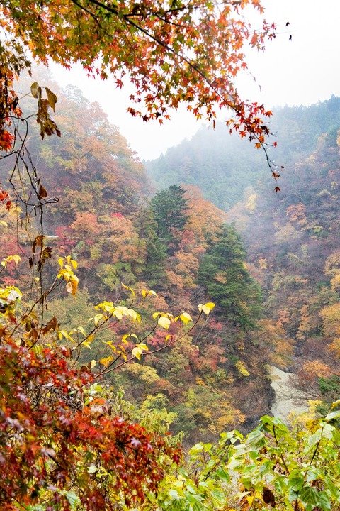 小河内ダム近くの景勝地
