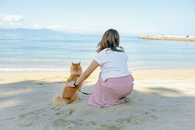 海を見つめる女性と犬