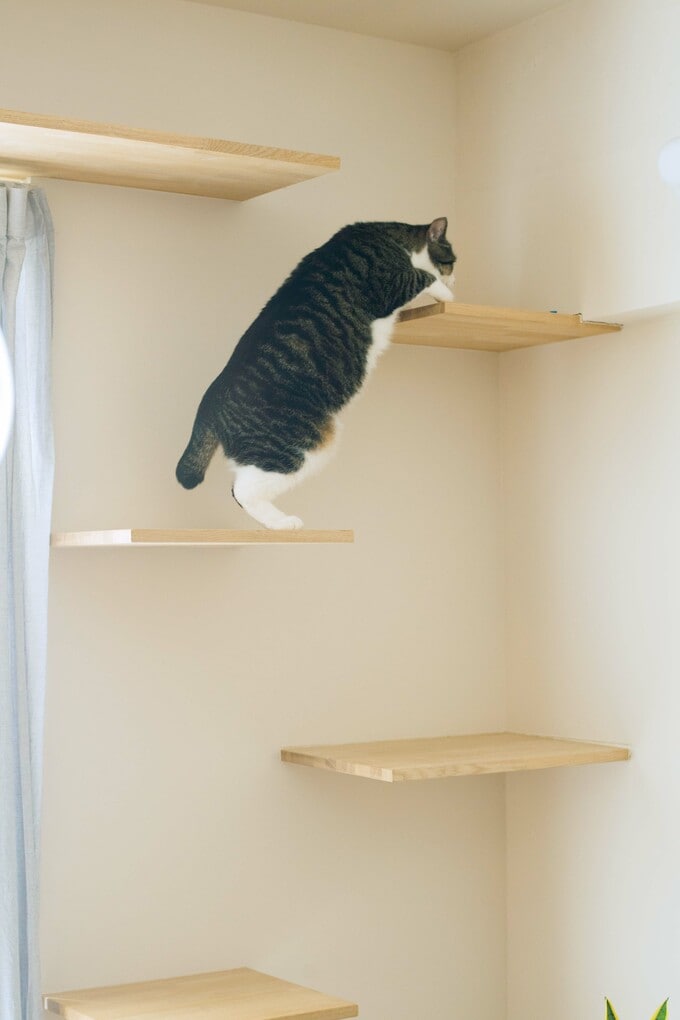 クリーム色の壁