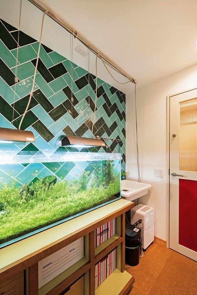 アクアリウムコーナー