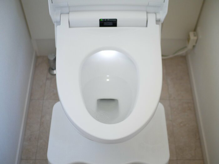 トイレの大掃除を1日でやってはダメな理由。においも汚れも2日ですっきり | ESSEonline（エッセ オンライン）