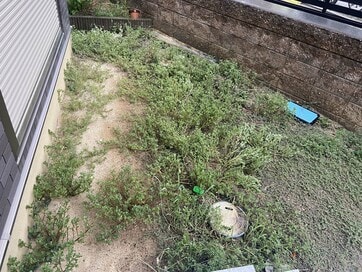 庭の草むしりが辛すぎる。家づくりで外構工事をやりきらなかったことに後悔