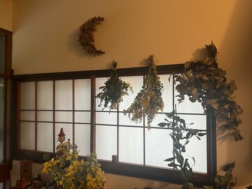 春、ミモザを“ドライフラワー”に衣替え。高橋久美子さん「家の中が華やかに」