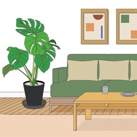 人気のインドアグリーン図鑑「おしゃれな家のあの植物は？」