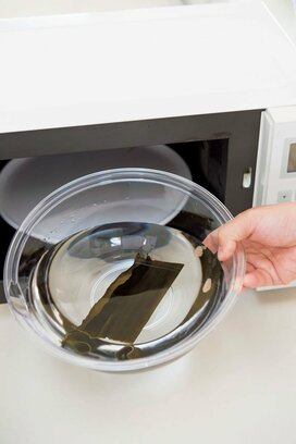 減塩効果で再注目のだし！電子レンジなら手軽につくれ、煮出すよりうまが味アップ！
