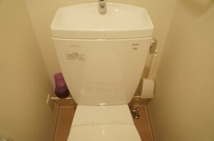 トイレ裏のデッドスペースに小物を収納