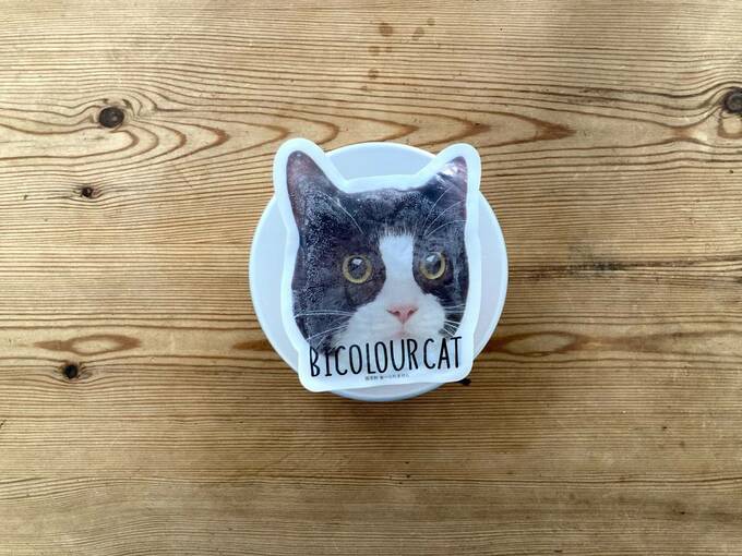 お弁当に猫さんの保冷剤