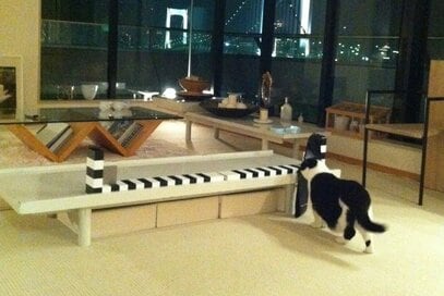 50代・川上麻衣子さんが13回目の引っ越し。志村けんさんとの思い出も