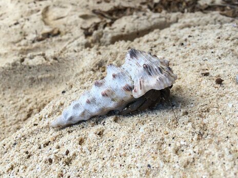 北海道も沖縄も 台湾だって 茨城空港を利用した格安旅行の裏ワザ Esseonline エッセ オンライン