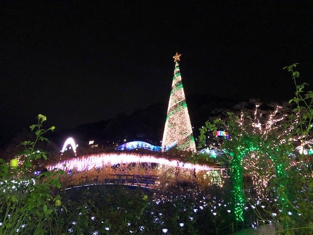 ツリーのイルミネーション