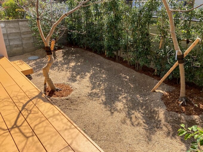 目隠しのための木しかなかった庭