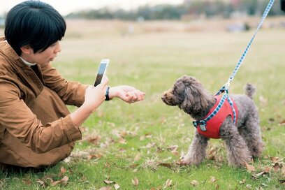 屋外で子どもやペットを撮影！スマホで決定的瞬間をきり取るコツ
