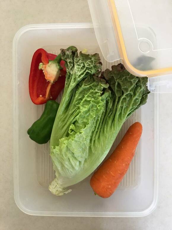 容器にピーマンニンジンなど