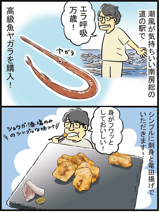 高級魚ヤガラを購入!
