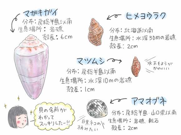 冬の海で貝殻を集めると 帰ってからも楽しい 子育て絵日記 Esseonline エッセ オンライン