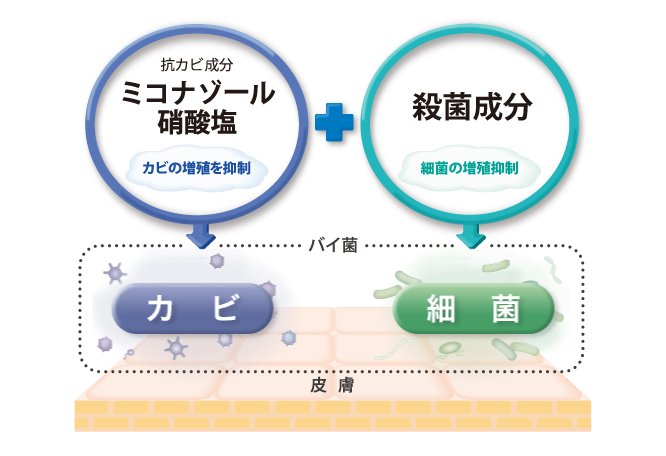 図解