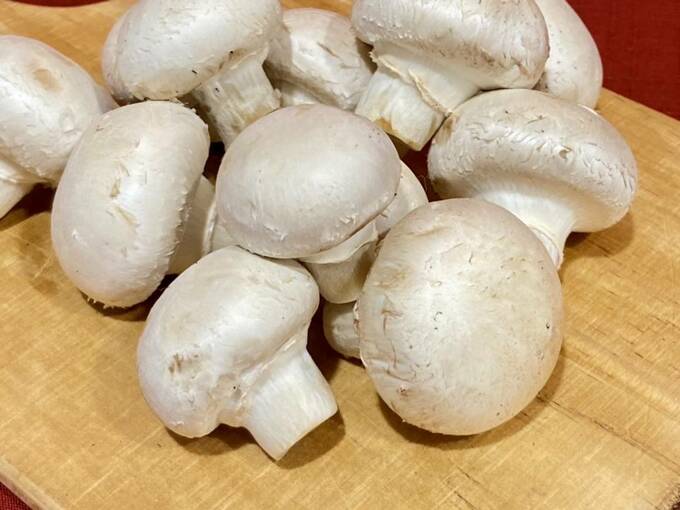 マッシュルーム