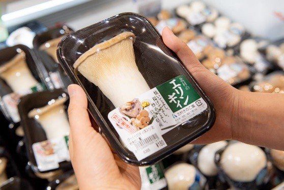 エリンギ