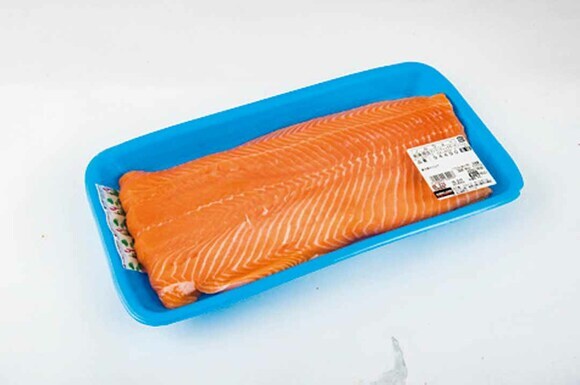 アトランティックサーモン