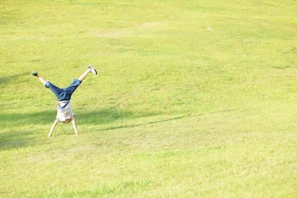 背景を緑一色にするのもおすすめ