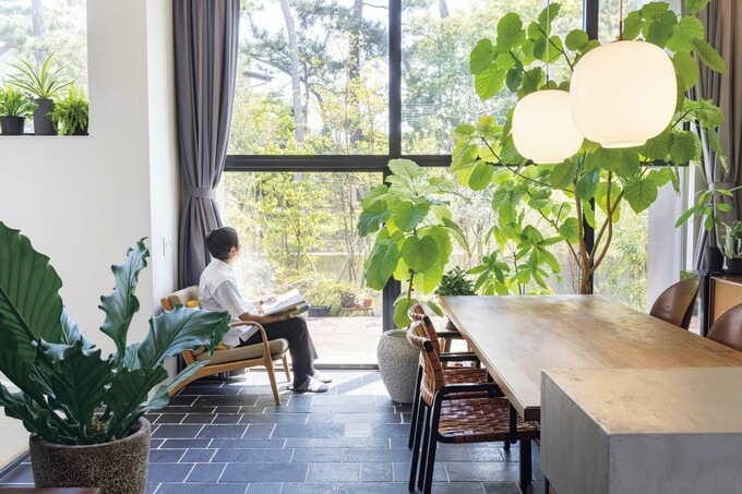 グリーンとインテリアが映える室内